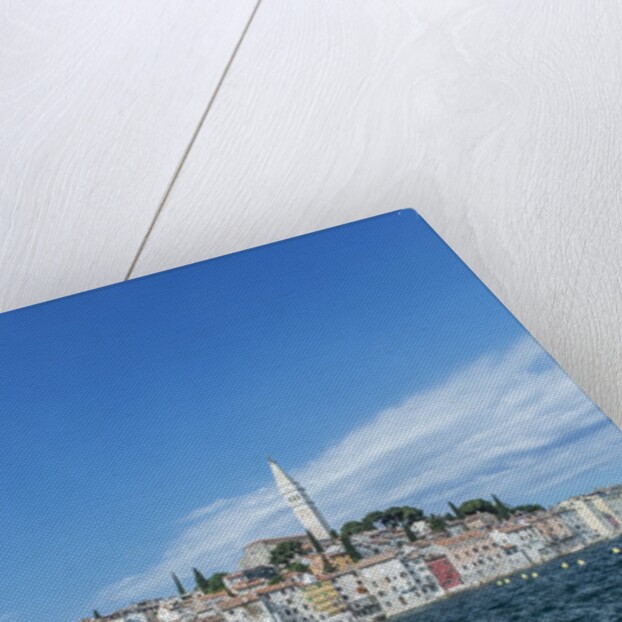 Rovinj by Anonymous