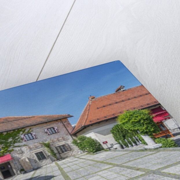 Bled Castle by Anonymous