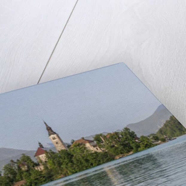 Bled Island by Anonymous