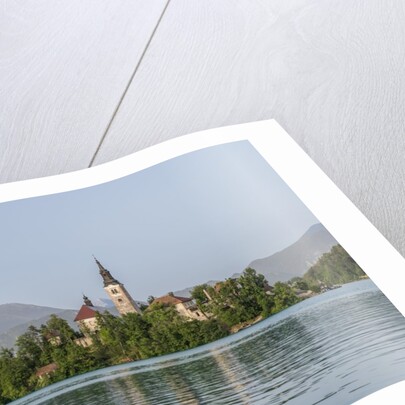 Bled Island by Anonymous