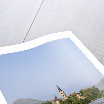 Bled Island by Anonymous