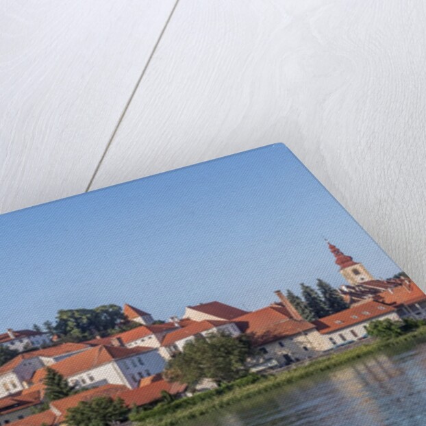 Ptuj Old Town by Anonymous