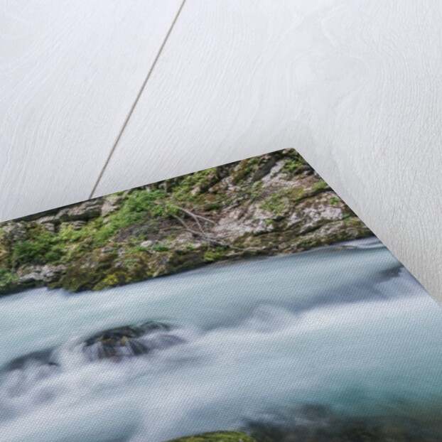 Vintgar Gorge by Anonymous