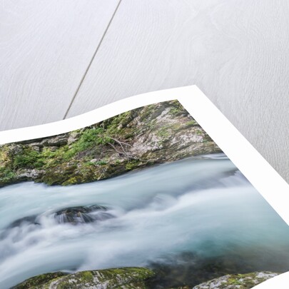 Vintgar Gorge by Anonymous
