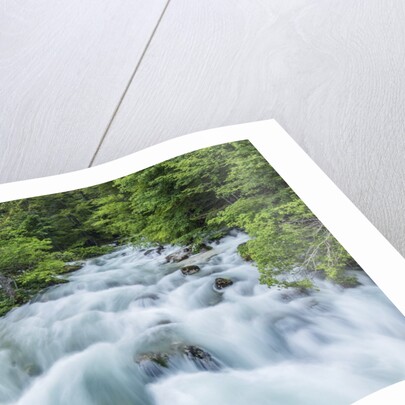 Soca River by Anonymous