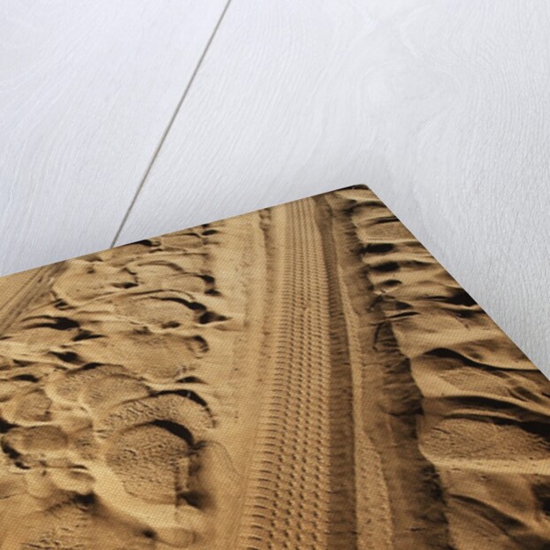 Elephant and vehicle tracks on sand road by Anonymous