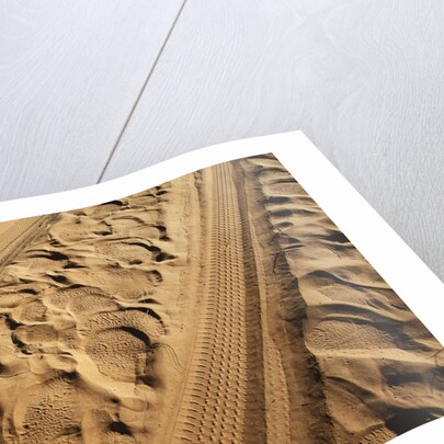 Elephant and vehicle tracks on sand road by Anonymous