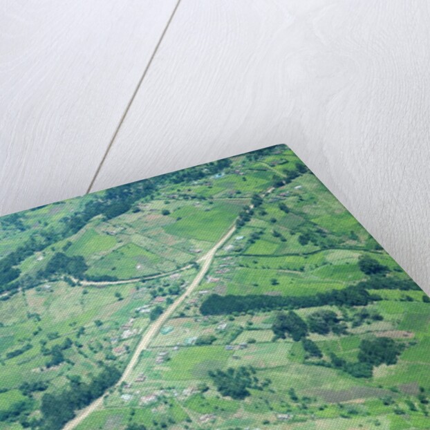 Aerial view of Tea plantations, Kenya by Anonymous
