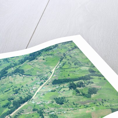 Aerial view of Tea plantations, Kenya by Anonymous