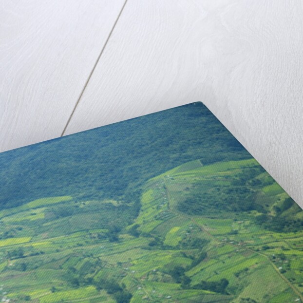 Aerial view of tea plantations, Kenya by Anonymous