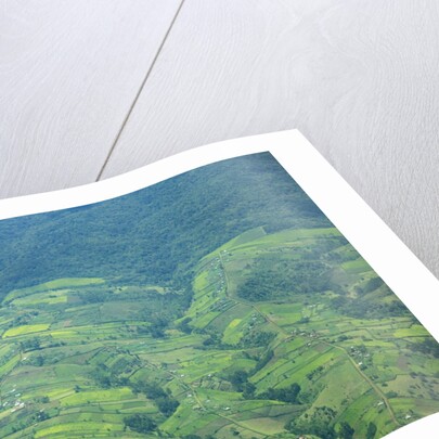 Aerial view of tea plantations, Kenya by Anonymous