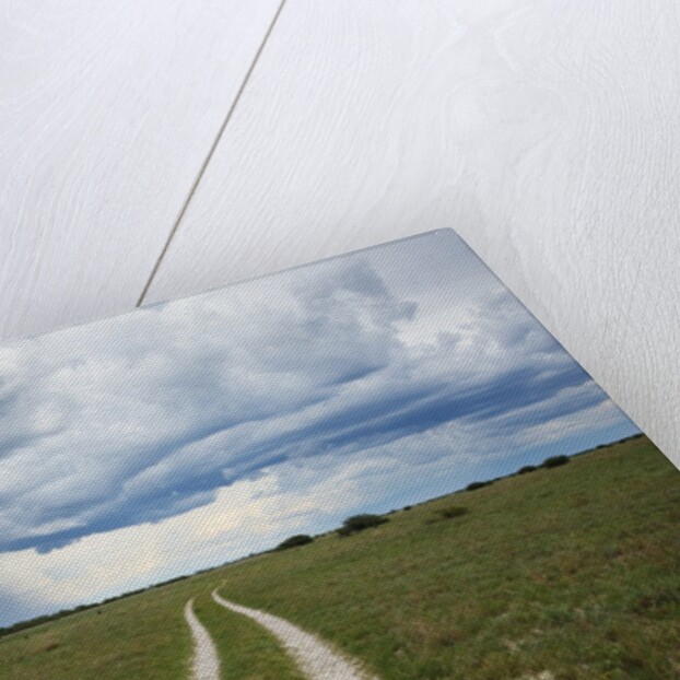 Sand road and thunderstorm, Botswana by Anonymous