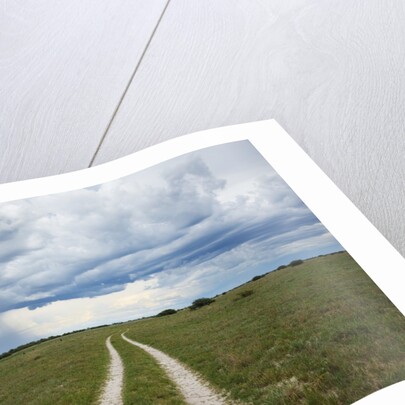 Sand road and thunderstorm, Botswana by Anonymous