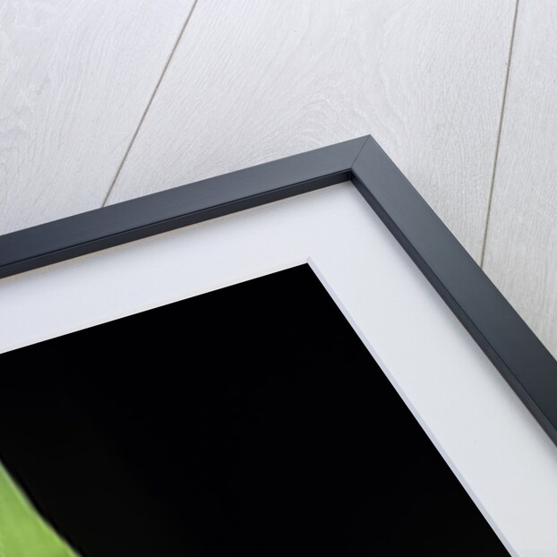 Bamboo leaf by Anonymous