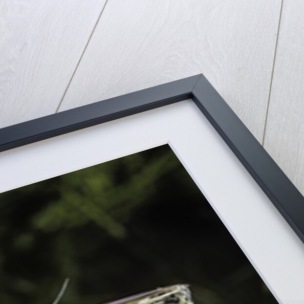 Bamboo flower by Anonymous