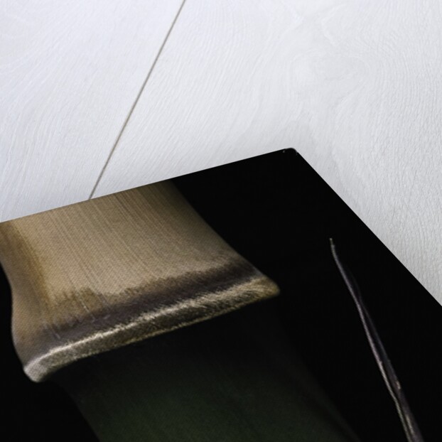 Semiarundinaria fastuosa (narihira bamboo) - young culm by Anonymous