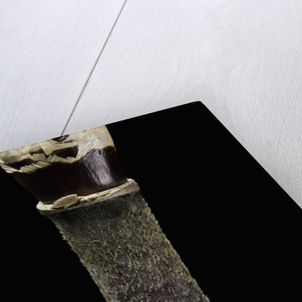 Yushania maling (Maling bamboo) by Anonymous