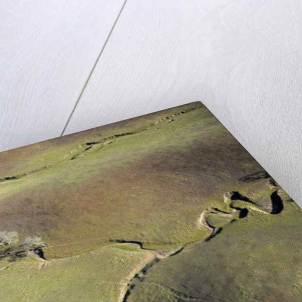 Aerial view of a dried up stream in Santa Ynez, California by Anonymous