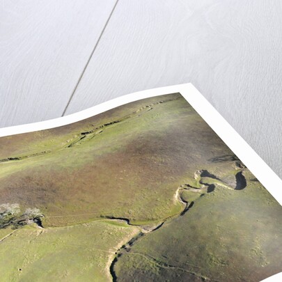 Aerial view of a dried up stream in Santa Ynez, California by Anonymous
