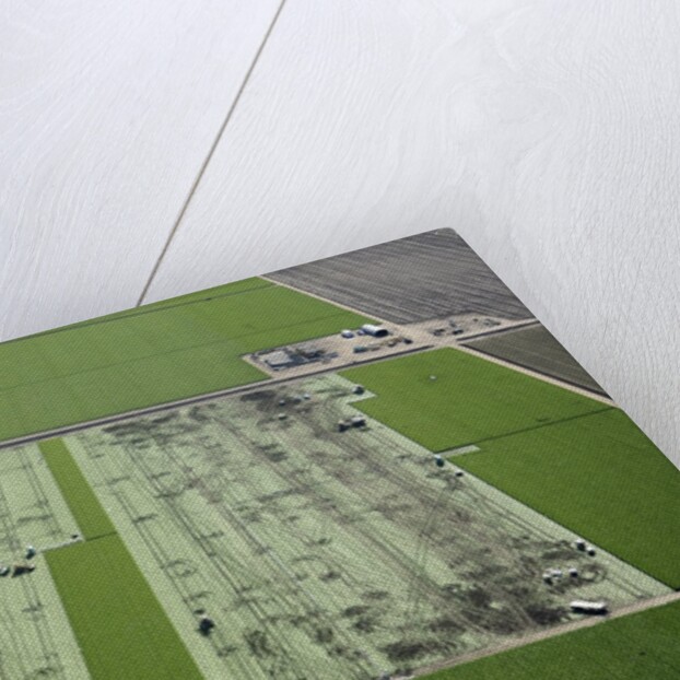 Aerial view of a working farm in Oxnard, California by Anonymous