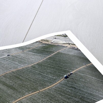 Aerial view of a working farm in Oxnard, California by Anonymous