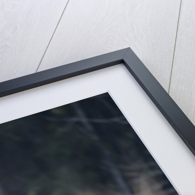 Rutting deer, Alpi Carniche, Friuli-Venezia Giulia, Carnia, Italy, Italia by Anonymous