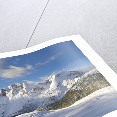 Mount Bivera seen by Casera Razzo, casera razzo , veneto, Italy, Italia by Anonymous