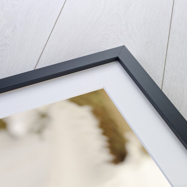 Wild boar (Sus scrofa) in the snow, Bayerischer Wald National Park, Germania, Germany by Anonymous