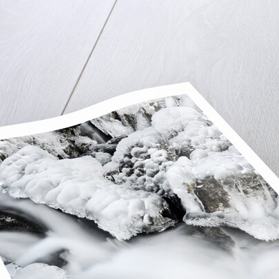 Mountain stream flowing beneath a blanket of ice, Alpi Carniche , Friuli-Venezia Giulia, Carnia by Anonymous