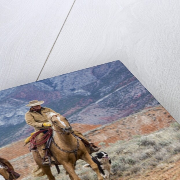 Cowgirl & Cowboy at Full Gallop by Anonymous