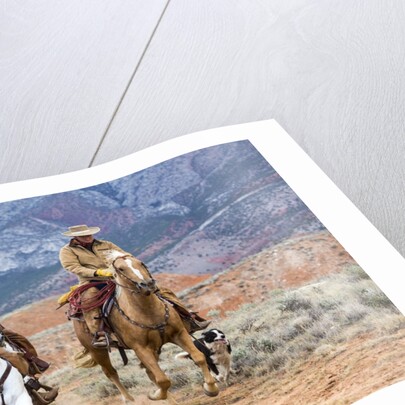 Cowgirl & Cowboy at Full Gallop by Anonymous