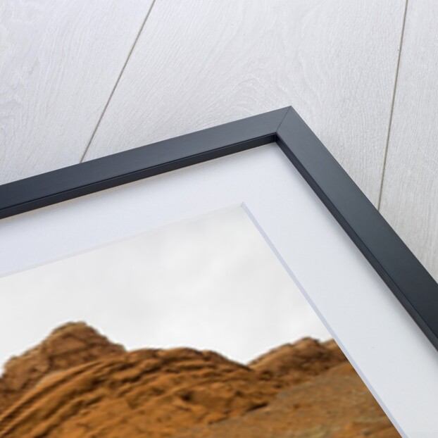 Cowgirl at Full Gallop with red rock hills by Anonymous