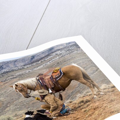 Cowgirl and Her Horse with dog viewing the countryside by Anonymous