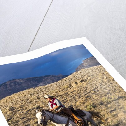 Cowgirl riding at full speed in motion by Anonymous