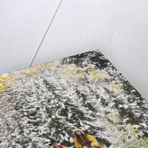 Cowgirls and Cowboy riding in Autumn Aspens with a fresh snowfall by Anonymous