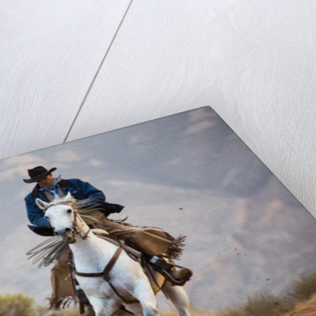 Cowboy at Full Gallop by Anonymous