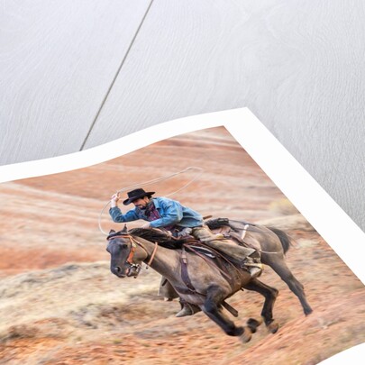 Cowboy at Full Gallop by Anonymous