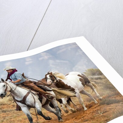 Cowgirl at Full Gallop with Horses in tow by Anonymous