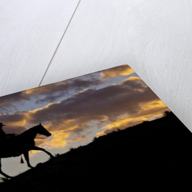 Cowboy in silhouette with sunset by Anonymous