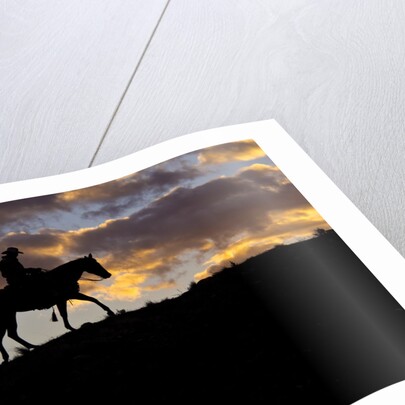 Cowboy in silhouette with sunset by Anonymous