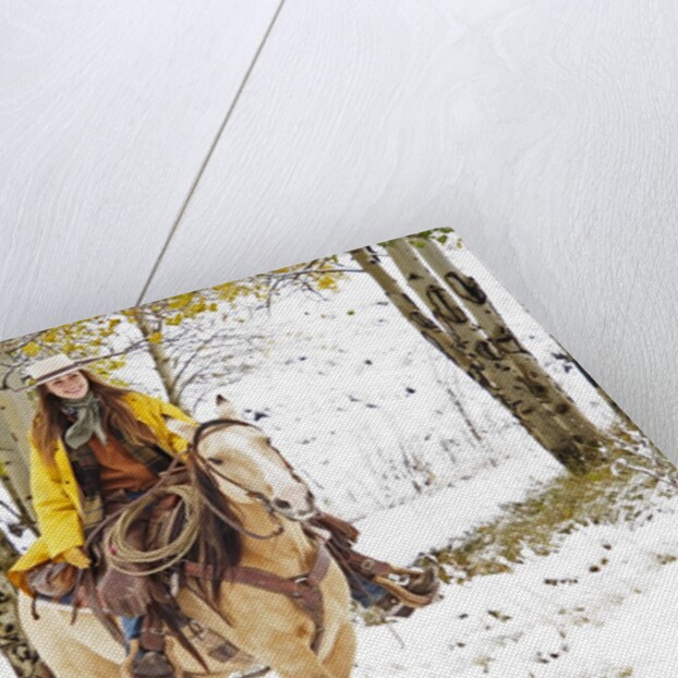 Cowgirl riding in Autumn Aspens with a fresh snowfall by Anonymous
