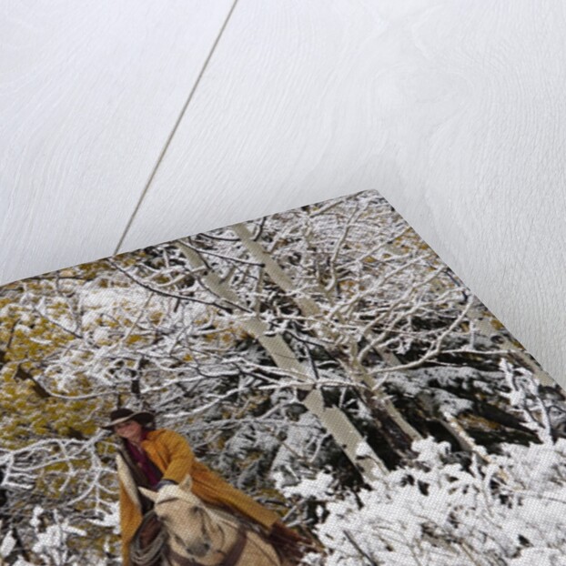 Cowgirl riding in Autumn Aspens with a fresh snowfall by Anonymous