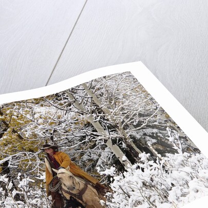 Cowgirl riding in Autumn Aspens with a fresh snowfall by Anonymous