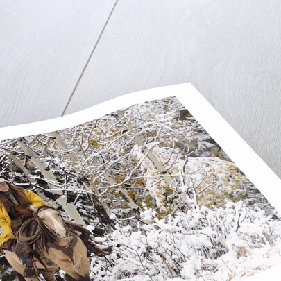 Cowgirl riding in Autumn Aspens with a fresh snowfall by Anonymous
