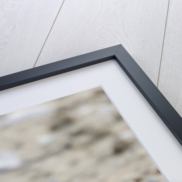 California Least Tern with fish in it's bill by Anonymous