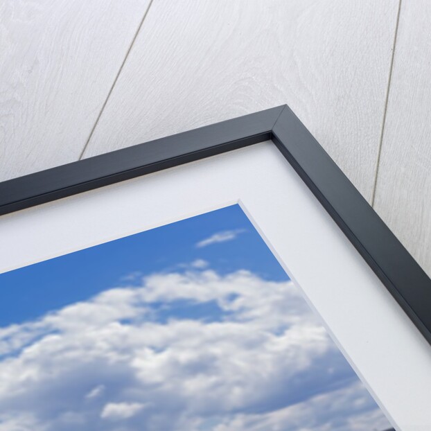 Szabadsag hid (Liberty Bridge or Freedom Bridge), River Danube and the town of Pest by Anonymous