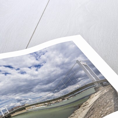 The river Danube, the Elisabeth Bridge, the town of Pest by Anonymous