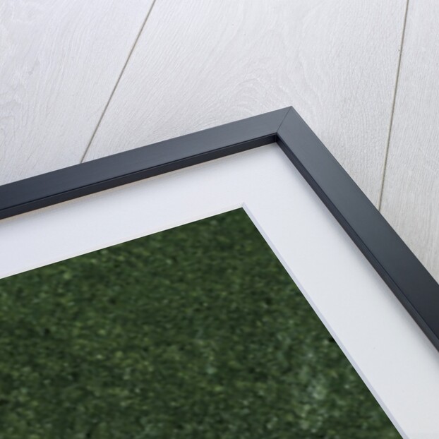 Adalia bipunctata (twospotted lady beetle) - eggs by Anonymous