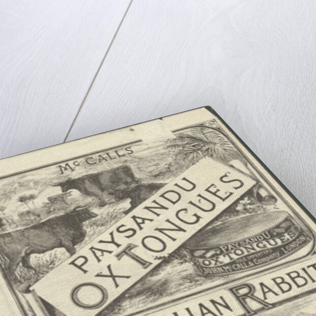 Paysandu ox tongue, 1890s. by Anonymous