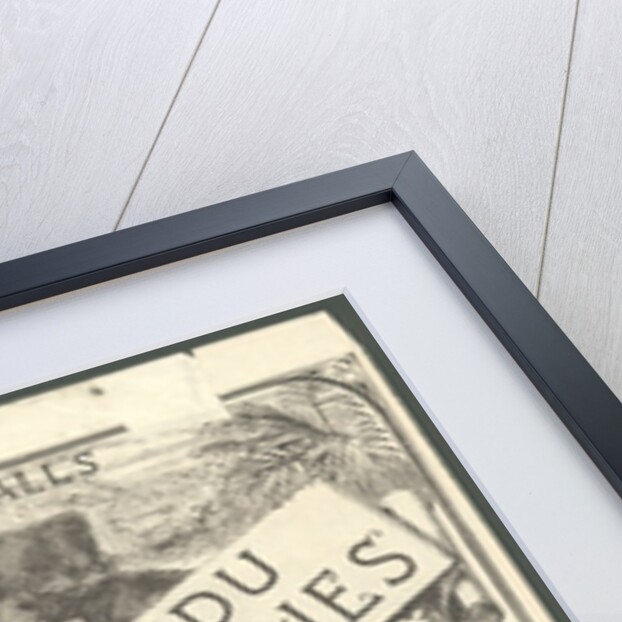 Paysandu ox tongue, 1890s. by Anonymous